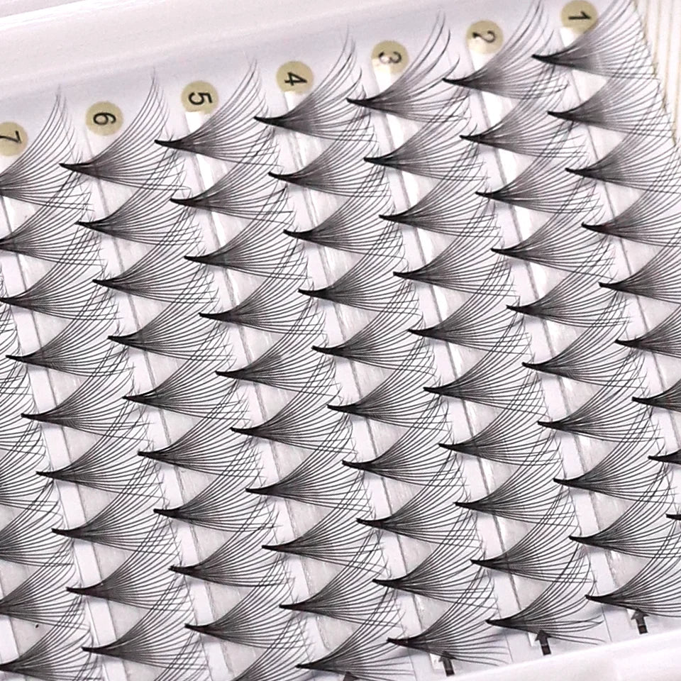 رموش AGUUD الروسية الجاهزة للتكثيف - ١٠ علب - معجبين كثر