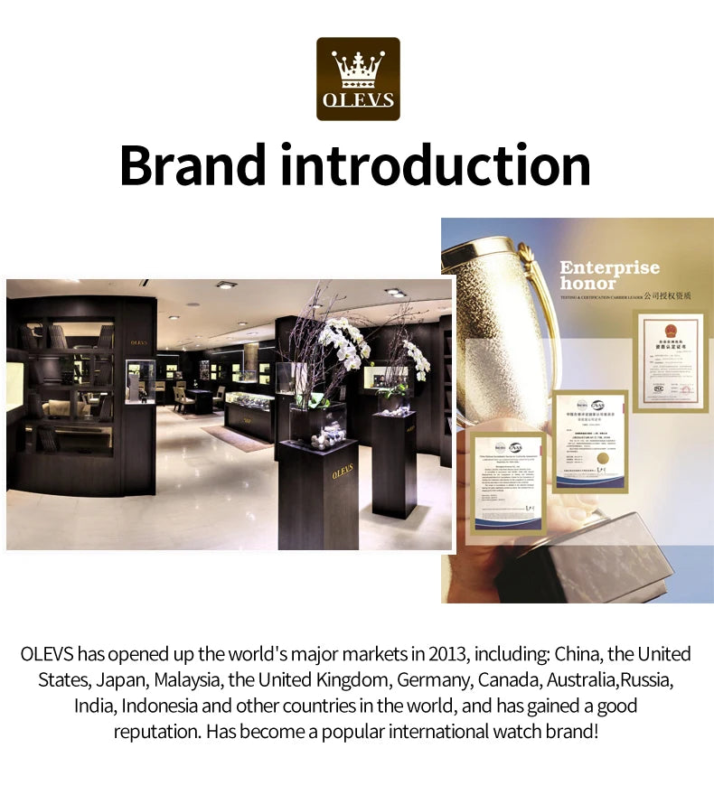 Montre homme OLEVS 6650, classique et originale, automatique, mécanique, avec index en zircon, étanche et lumineuse, en acier inoxydable.