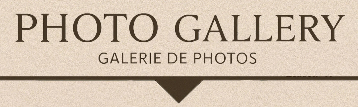 قلادة من سلسلة حبل ملتوية ذهبية - قلادة من الفضة الاسترلينية عيار 925 مطلية بالذهب عيار 14 قيراطًا